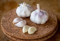 Closeup of garlic bulb and cloves on a round cork board Royalty Free Stock Photo