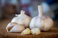 Closeup of garlic bulb and cloves on a round cork board Royalty Free Stock Photo