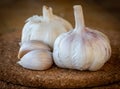 Closeup of garlic bulb and cloves on a round cork board Royalty Free Stock Photo