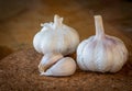 Closeup of garlic bulb and cloves on a round cork board Royalty Free Stock Photo