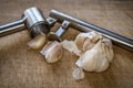 Closeup of a garlic press and fresh garlic on a wooden table Royalty Free Stock Photo