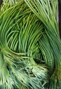 Garlic scape at vegetable market Royalty Free Stock Photo