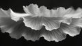 Closeup of a gingko leaf with its fanlike shape and fluttering texture resembling delicate lace Royalty Free Stock Photo