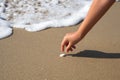 Closeup girl hand picking shell on beach with wave bubble background