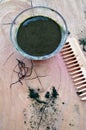 Homemade natural spirulina hair mask
