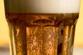 Closeup glass cold beer with golden bubble. High quality and resolution beautiful photo concept Royalty Free Stock Photo