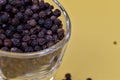 Closeup of a glass of dried black pepper against a yellow background