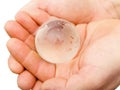 Glass globe in hands Royalty Free Stock Photo