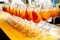 Closeup glass of orange alcoholic cocktails decorated with citrus slices Royalty Free Stock Photo