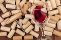 A closeup of a glass of red wine with a corkscrew on top of many wine corks Royalty Free Stock Photo