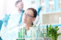 Scientists working with plants at modern laboratory Royalty Free Stock Photo