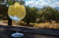 Closeup of a glass of a tonic with ice cubes and lemon