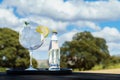 Closeup of a glass of a tonic with ice cubes and lemon