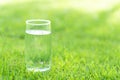 Closeup glass of water on green grass nature background, food he Royalty Free Stock Photo