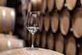 Closeup glass with white wine on background wooden wine oak barrels stacked in straight rows in order, old cellar of winery, vault Royalty Free Stock Photo