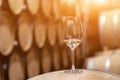 Closeup glass with white wine on background wooden wine oak barrels stacked in straight rows in order, old cellar of winery, vault Royalty Free Stock Photo