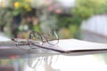 Closeup of a glasses on table in optical store