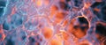A Closeup Glimpse Into The Intricate Web Of A Molecular Structure