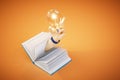 Closeup glowing light bulb in the hand and book on a orange background. 3d render