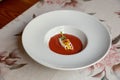 Closeup of Goats cheese mousse served with delicious garnishes and tomato sauce Royalty Free Stock Photo