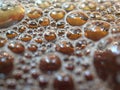 Closeup gold bubbles of coffee with shiny, macro image