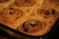 Cinnamon rolls 5452