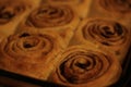 Cinnamon rolls 5453