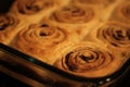 cinnamon rolls 5456