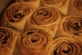 Cinnamon rolls 5481