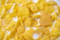 Closeup of golden cornflakes with milk. Cereal background