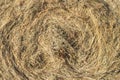 Closeup of golden hay roll circular haystack showing straw texture Royalty Free Stock Photo