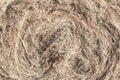 Closeup of golden hay roll circular haystack showing straw texture Royalty Free Stock Photo