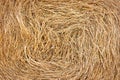 Closeup of golden hay roll circular haystack, texture