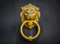 Closeup of a Golden knocker with a lion's head on a black door Royalty Free Stock Photo