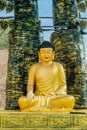 Closeup of golden seated Buddha under tree