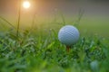 Closeup golf ball on tee ready to be shot. Golf ball on tee in the evening golf course with sunshine. Blurred set of golf clubs Royalty Free Stock Photo