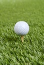 Closeup golf ball on wood tee Royalty Free Stock Photo