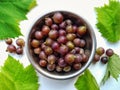 Closeup Grapes fruit background Photography