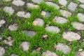 Grass growing between cobblestones on the road Royalty Free Stock Photo