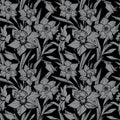 Closeup daffodil hand drawn seamless pattern on black background.