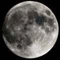 Closeup of a gray full moon isolated on black background Royalty Free Stock Photo