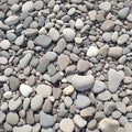 Closeup gray pebbles scattered on a peaceful beach