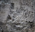 Closeup of gray porous stone texture