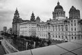 Closeup grayscale of the graces on Liverpool docks, Liver bird building, Cunard building