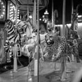 Closeup grayscale shot of an animals carousel at the park with blur background