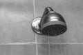 Closeup grayscale shot of a showerhead with water dripping down Royalty Free Stock Photo