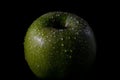 Closeup of a green apple with water droplets against a solid black background. Royalty Free Stock Photo