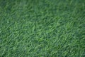 Green artificial grass selective focus background Royalty Free Stock Photo