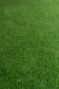 Closeup green artificial grass selective focus Royalty Free Stock Photo