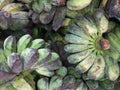 Closeup of green banana fruit, Binan wholesale market